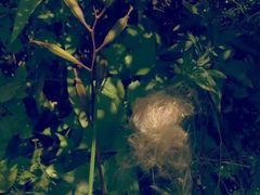 -成都中医药大学(温江校区)