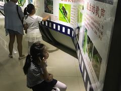 -上海昆虫博物馆