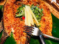 -云海肴·汽锅鸡·云南菜(天山百盛优客店)