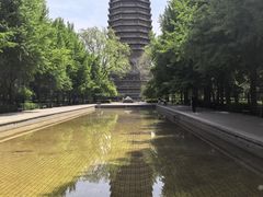 -玲珑塔公园