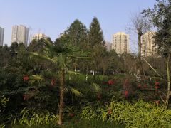 -龙头寺公园