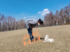 -哈尔滨文化公园