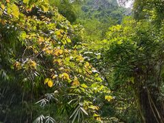 -亚婆田·白水寨生态旅游度假区