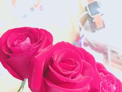 -亭亭鲜花店(中山北路店)