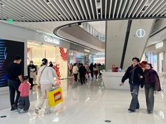 -霸王茶姬(大连万象汇店)