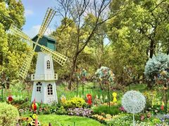 -上海共青森林公园