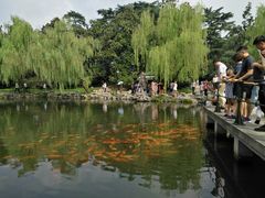 -西湖外事游船(花港观鱼码头)