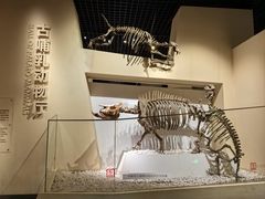 -国家自然博物馆