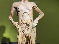 -生命奥秘博物馆