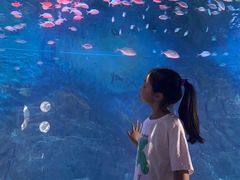 -烟台海昌鲸鲨海洋公园