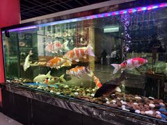 -寻味顺德·珍之宝酒楼(银钻店)