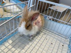 -怪兽屋·羊驼·猫咖·狗咖(俊华广场店)