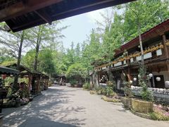 -青城甲(青城山店)