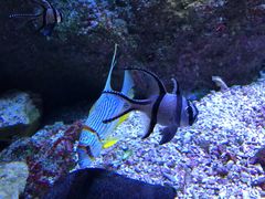 -成都浩海立方海洋公园