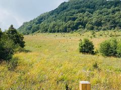 -白草畔自然风景区