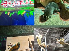 -海合安天津极地海洋公园