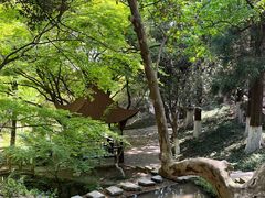 -莫干山风景区