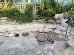 -南宫五洲植物乐园