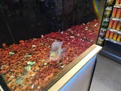 -宠物世家(仲盛世界商城店)