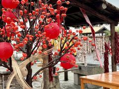 -同里国家湿地公园