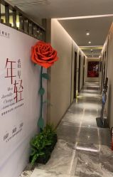 -香榭丽舍·海菲秀·皮肤管理痘敏肌修护