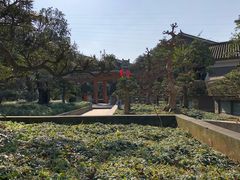 -老幺泉水鸡