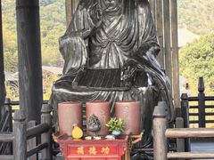 -大唐贡茶院