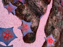 -沈阳海洋探索中心