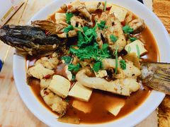 -煲来饱去冷水鱼