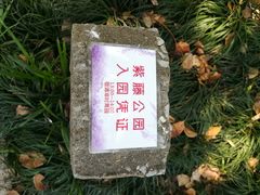 -嘉定紫藤园