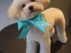 -Oh My Dog宠物沙龙(伊珊娜皮毛护理店)