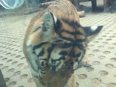 -西安秦岭野生动物园