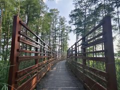 -东湖落雁景区