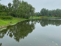 -东郊湿地公园