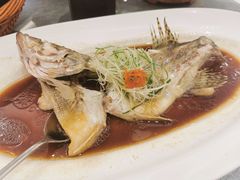 清蒸桂鱼-汤记传菜(浦江店)