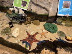 -悉尼海洋生物水族馆