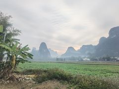 -明仕田园