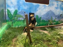 -杭州野生动物世界