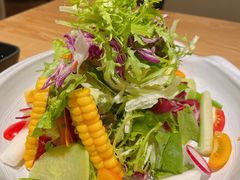 蔬菜沙拉-Hatsune隐泉日式料理(SKP店)