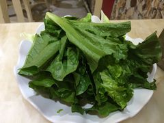 生菜-关姐美食(江南西店)