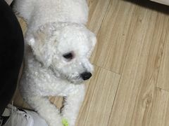 -爱侣宠医·鹦鹉专科·小型哺乳类·异宠专科(灵石路店)