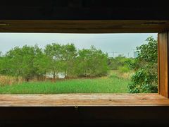 -华侨城湿地公园