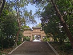 -灵谷景区