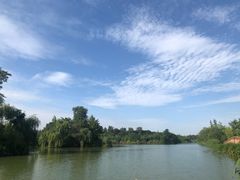 -白鹭湾湿地公园