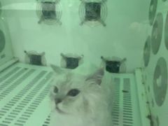 -瑞鹏宠物医院·超声·骨科·奇麟分院(蜀都万达店)