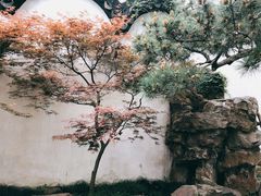 -沧浪亭
