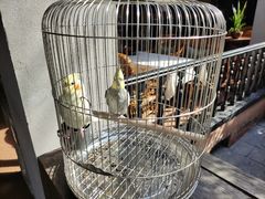 -翠园十八号庭院餐厅