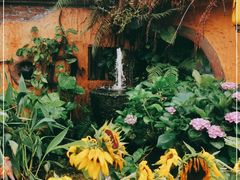 -园林美食城·本土农家菜(杨和镇店)