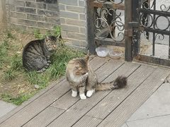 -颐和路民国时期公馆风貌区