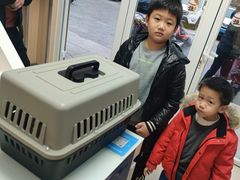-宠福鑫康馨动物医院·骨科·眼科